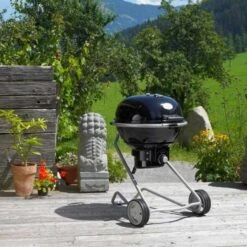 Barbecue Charbon Air F60 - Rosle* 18 Barbecue Charbon Air F60 - Rosle* -Équipement De Barbecue barbecue charbon rosle f60 4004293250063 6