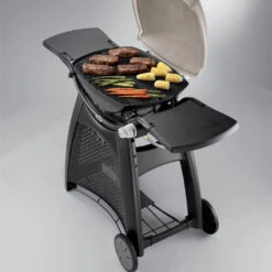 Grille De Cuisson Fonte émaillée Q300/Q3000 - Weber 9 Grille De Cuisson Fonte émaillée Q300/Q3000 - Weber -Équipement De Barbecue grille de cuisson pour q300 barbecue a gaz weber 0077924038853 3